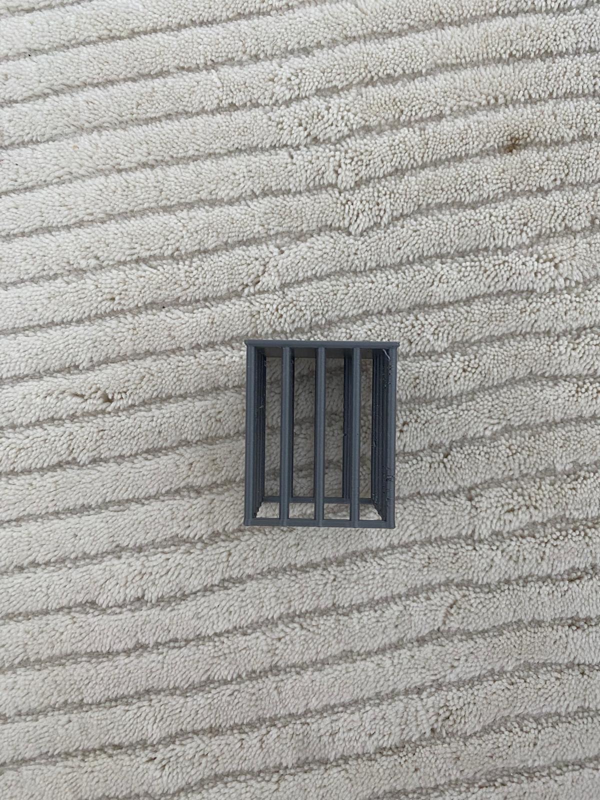 Monopoly Kafesi, 3D baskılı